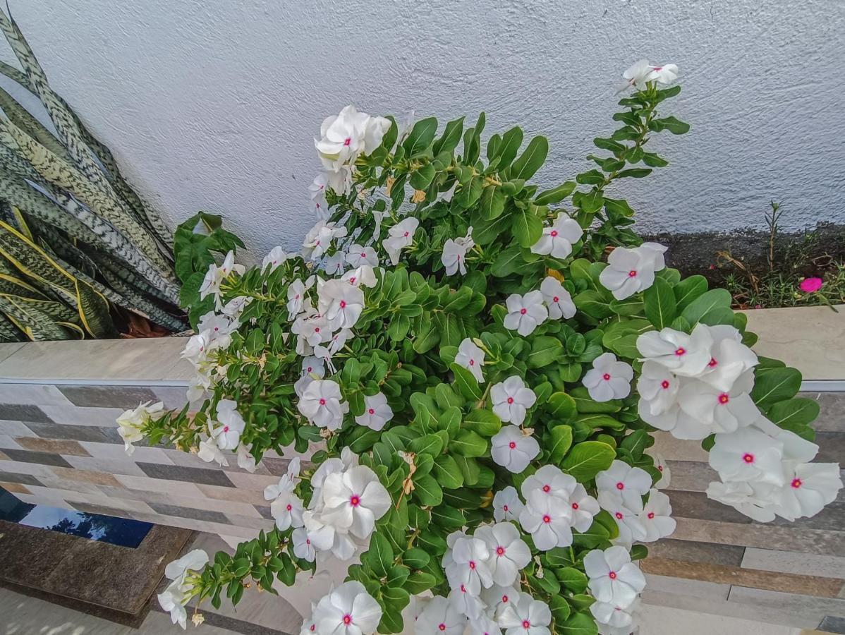 Momoluu'S House Apartment Santa Marta  Exterior photo